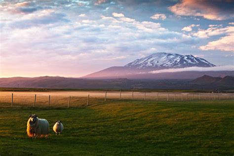 Guide to Hekla Volcano in Iceland, live data and facts - LAVA Centre