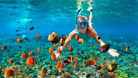 Isla Mujeres Snorkeling | Skulls Landing Isla Mujeres