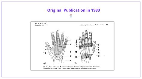 Zones of the Hand (Flexor and Extensor)