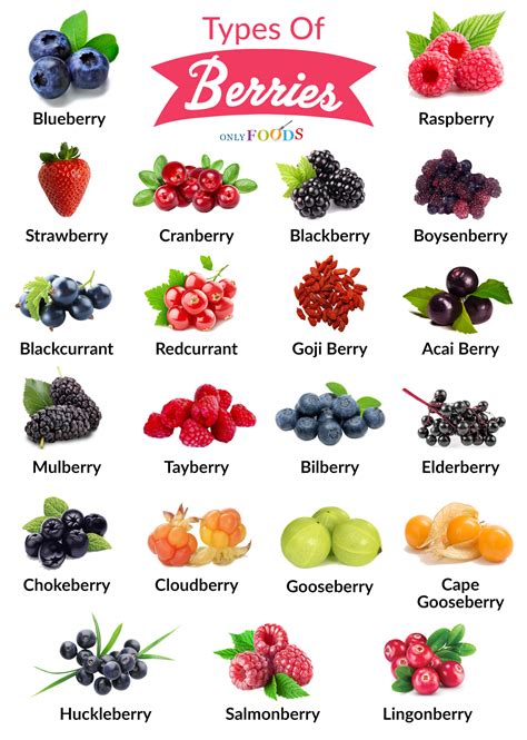 21 Different Types of ‘Berries’ to Eat