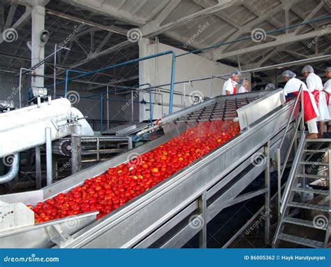 Tomato processing editorial photography. Image of puree - 86005362