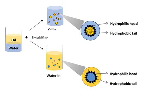 Emulsion formation from oil and water by addition of an emulsifier ...