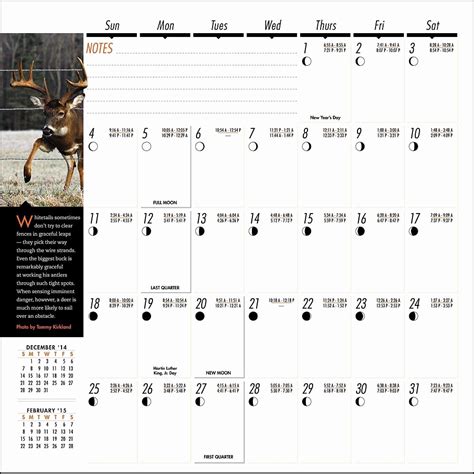 Deer Movement Calendar | Qualads