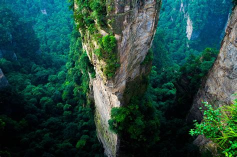 forest, China, Cliff, Mountain, Green, Summer, National Park, Nature, Landscape, Aerial View ...