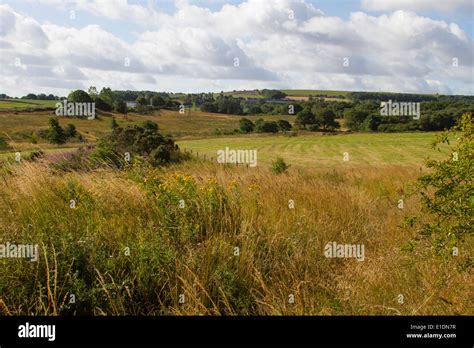 English countryside in summer Stock Photo - Alamy