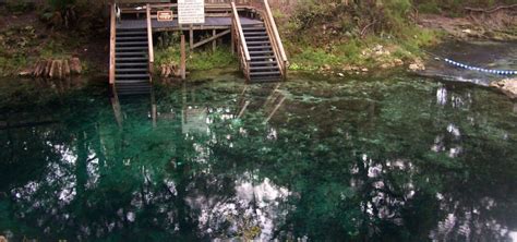 So fresh and so clean, clean! | Blue springs state park, Florida ...