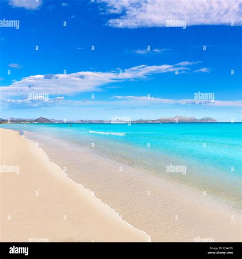 Mallorca Can Picafort beach in alcudia bay at Majorca Balearic islands of Spain Stock Photo - Alamy