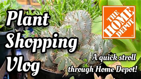 Home Depot Plant Shopping Vlog in Enfield, Connecticut 🌿 a quick walk through the garden center ...