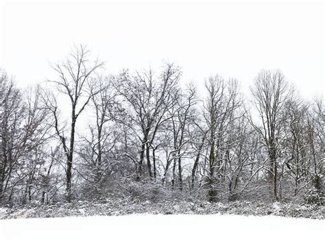 Photo Album: First Snow of 2017 in Virginia's Blue Ridge | Roanoke, VA