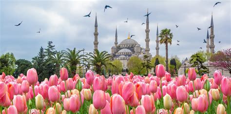 Textiles & Tulips Tour of Turkey - Behind the Scenes Adventures