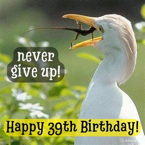 Happy 39th Birthday Images, Funny Pictures and Cards