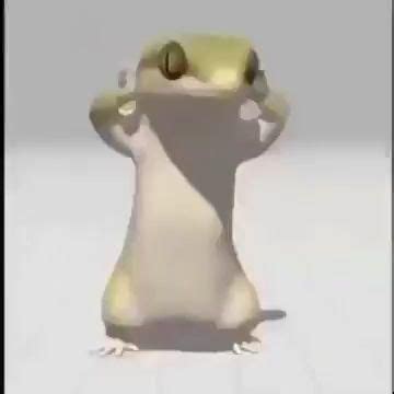 Dancing Lizard [Vidéo] | Video pour rire, Mèmes drôles, Image humour