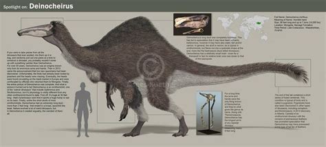 Deinocheirus by PaleoGuy | Prehistoric animals, Prehistoric creatures, Extinct animals