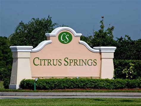 CITRUS SPRINGS HOMES FOR SALE, VERO BEACH FLORIDA, GATED SINGLE FAMILY ...