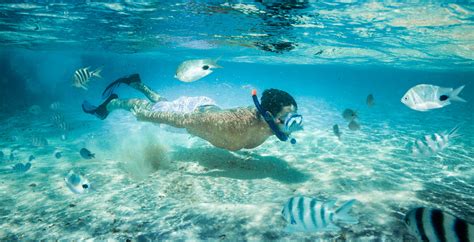 World's Best Places to Go Snorkelling | Club Med