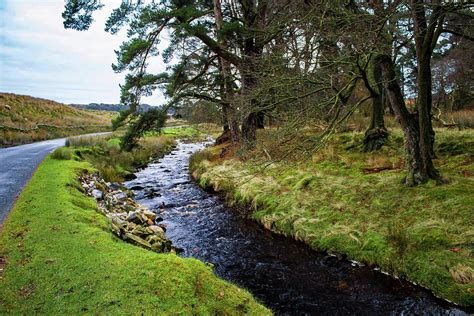 Forest of Bowland Photograph by Albert Barker - Fine Art America