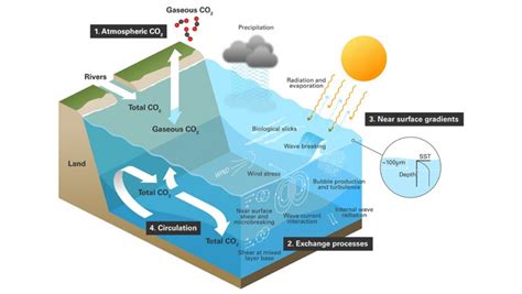 Study Calls for Greater Use of Satellites to Monitor Ocean Carbon ...