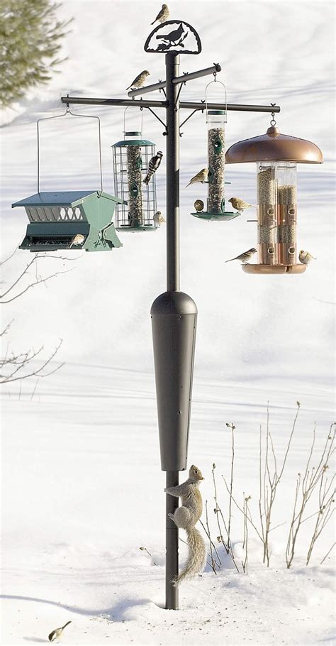 Duncraft.com: Best Selling Squirrel Proof Squirrel Stopper System Pole | Bird feeder poles ...