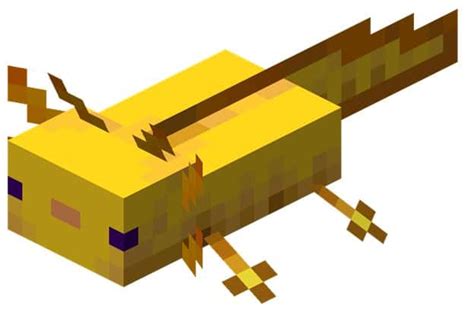 5 Rarest Colors of Axolotl in Minecraft - Rarest.org