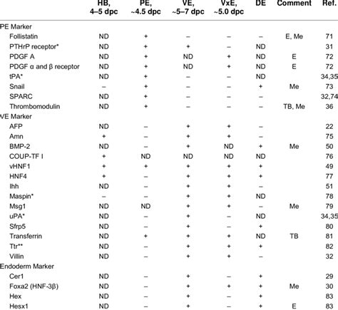 Markers of Endoderm: Embryonic and Extraembryonic | Download Table