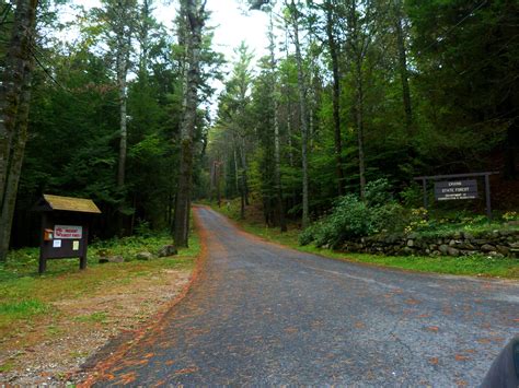 Hunting in Massachusetts | Electric Hunting Bike