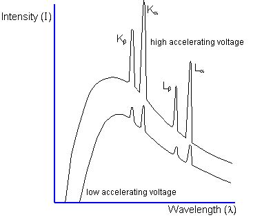 spectroscopy - On characteristic X-ray spectra and relative intensity - Physics Stack Exchange