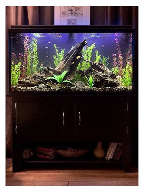 Gorgeous 30+ Awesome Fish Tank Ideas https://gardenmagz.com/30-awesome ...