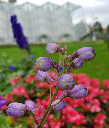 Ballarat Botanical Gardens: 2018 All You Need to Know Before You Go (with Photos)