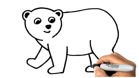 How to DRAW A POLAR BEAR Step by Step | Polar Bear Easy Drawing Lesson ...