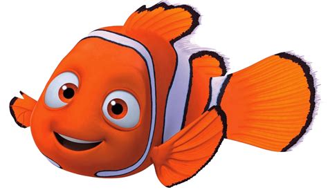 Nemo de Cerca PNG transparente - StickPNG