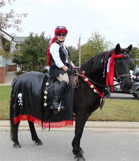 Pirate costumes for horse and rider | Horse costumes, Horse halloween costumes, Horse fancy ...