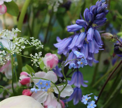 Seasonal UK-grown flowers for the coronation - Flowers from the Farm