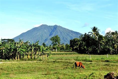 ‘Walang kasing sarap ang buhay sa bukid’ | Pilipino Star Ngayon