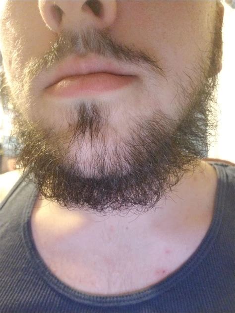 One month in and looking to go for a year | Beard styles haircuts ...