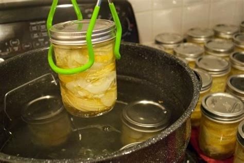 CANNING 101: LEMON-CUCUMBER PICKLES | Lemon cucumber, Pickles, Canning recipes