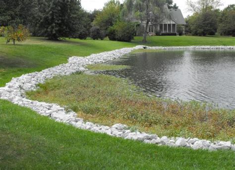 Controlling Aquatic Weeds - Berger Hargis Landscape Management