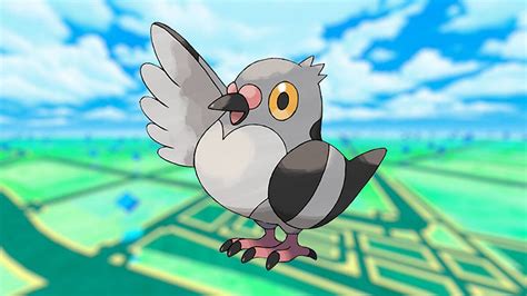 What are the Perfect IV Stats for Pidove in Pokemon GO?