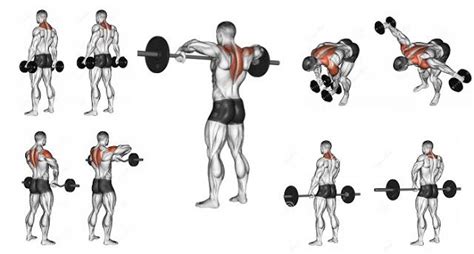 Trapezius Exercises | Workout routine for men, The rock workout routine, Trapezius workout