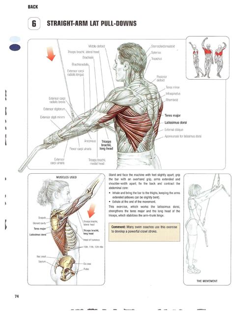 Strength Training Anatomy 2nd Edition