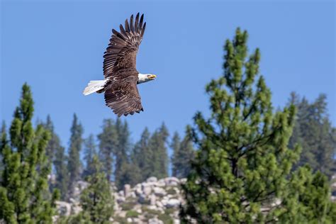 Bank Right Photograph by Randy Robbins - Fine Art America