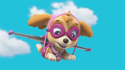 Image - PAW Patrol Skye Flying.JPG | PAW Patrol Wiki | FANDOM powered by Wikia