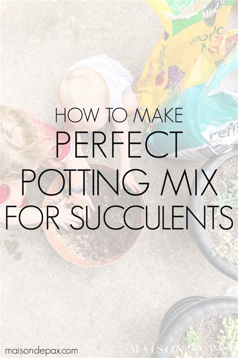 DIY Succulent Soil Potting Mix - Maison de Pax