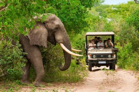 Cinco de los muchos motivos por los que viajar a Sudáfrica