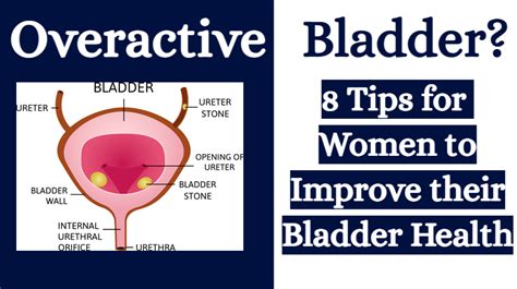 Overactive Bladder? 8 Tips for Women to Improve their Bladder Health - WomenWorking