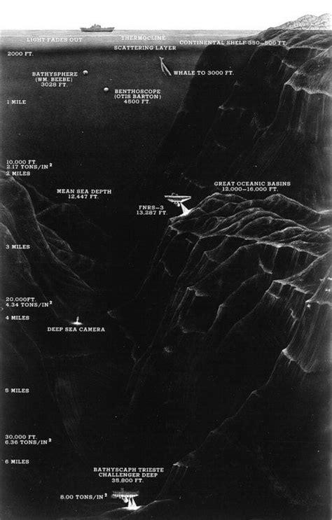 Another mariana trench diagram : r/pics