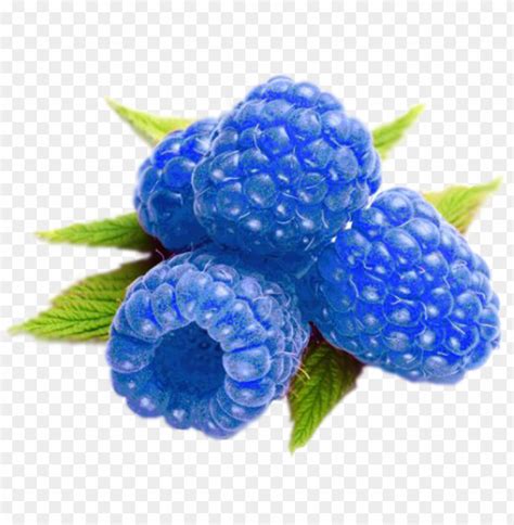 Raspberries Clipart Cute - Blue Raspberry PNG Transparent With Clear Background ID 186440 | TOPpng