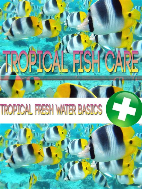 Tropical Fish Care - Tradebit