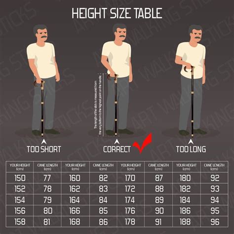 Cane Height Guide