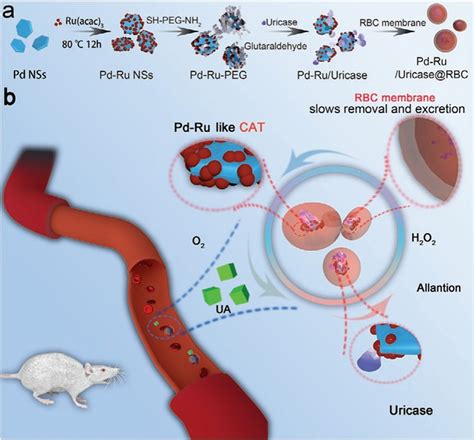 Treating Hyperuricemia with Nanozymes