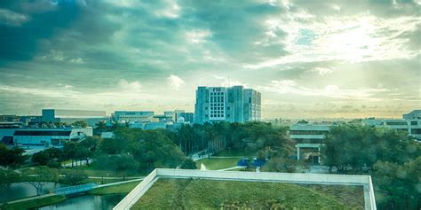 Economics News | FIU Department of Economics